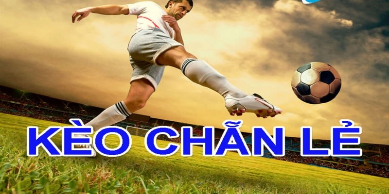 Chẵn lẻ